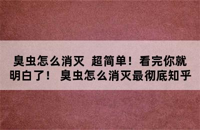 臭虫怎么消灭  超简单！看完你就明白了！ 臭虫怎么消灭最彻底知乎